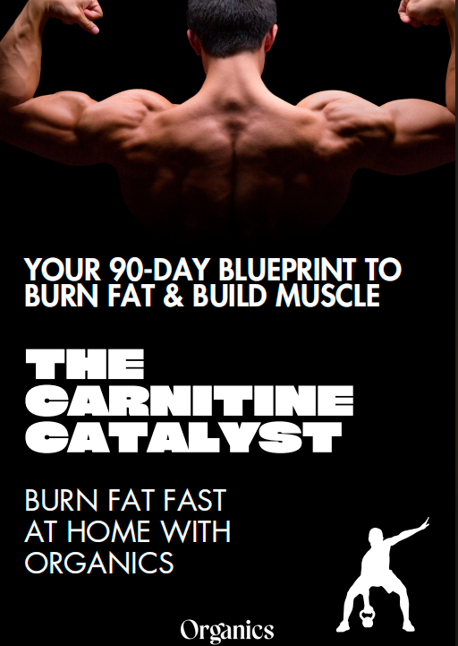 90 Day Workout Plan